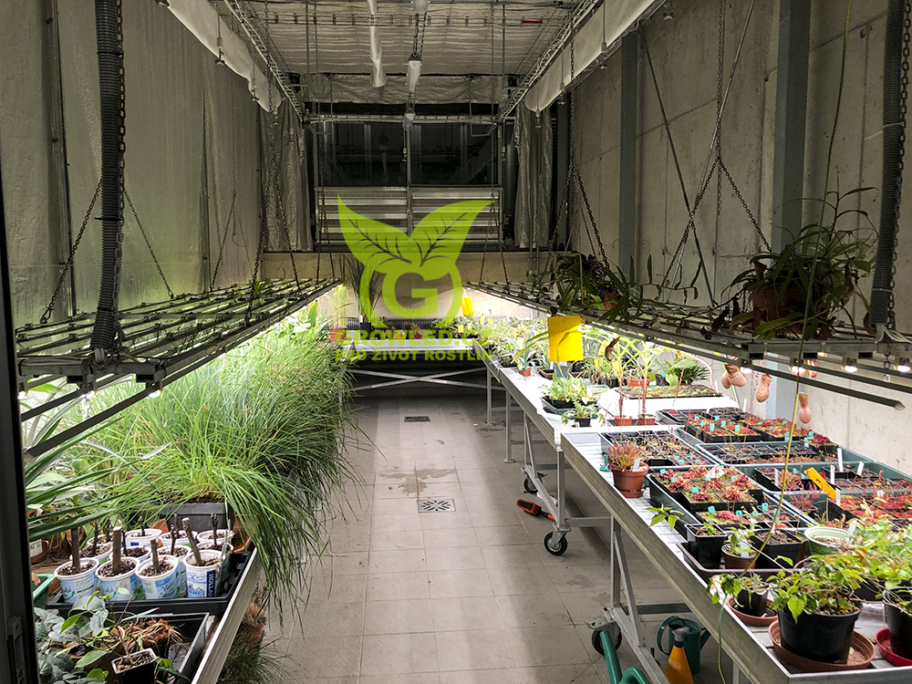 Realizace_OSVETLENI_skleníku- MUNI Brno - GROW LED FLEXI 17 - IP65